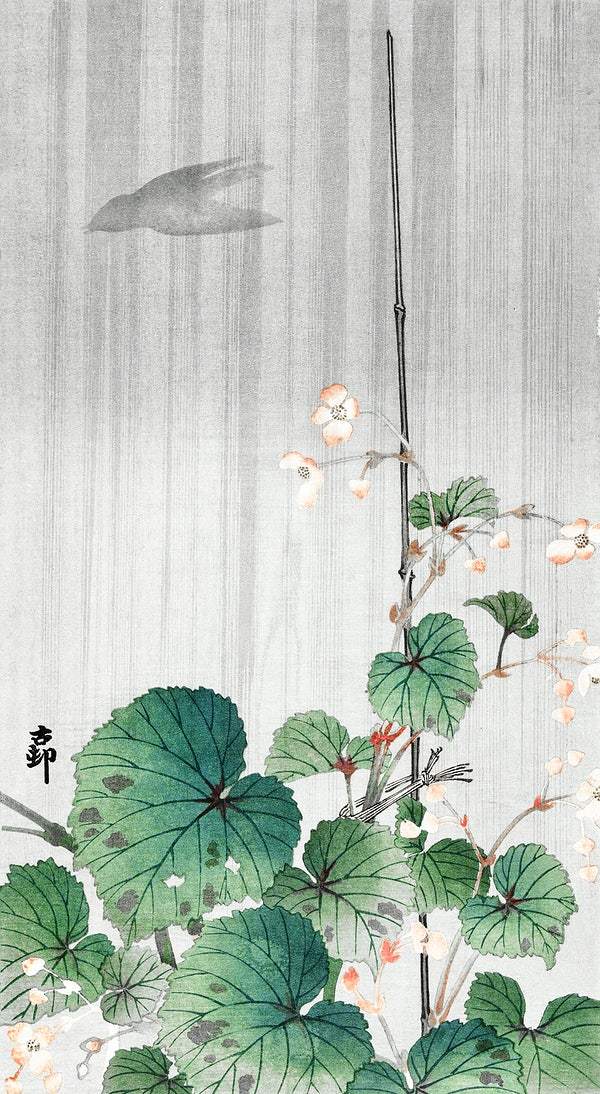 Begonia in the rain (1930 - 1945) by Ohara Koson