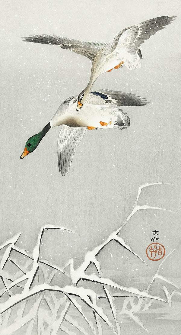 Two wild ducks in flight (1900 - 1936) by Ohara Koson