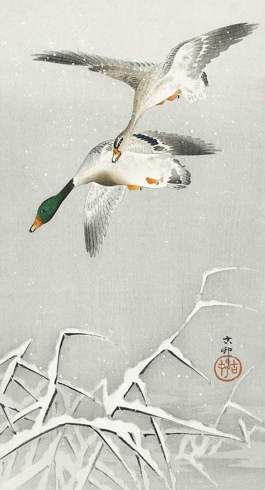 Two wild ducks in flight (1900 - 1936) by Ohara Koson