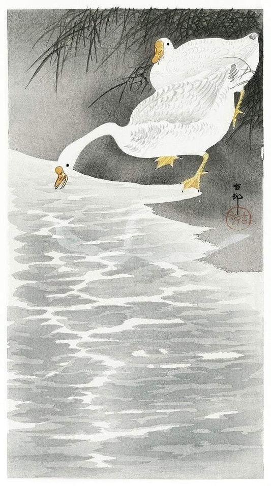 Geese on the shore (1900 - 1930) by Ohara Koson