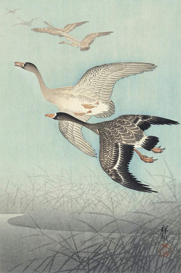 Great geese in flight (1925 - 1936) by Ohara Koson