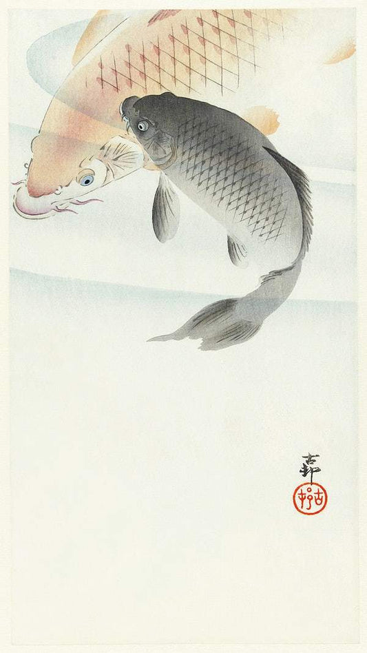 Two carp (1900 - 1930) by Ohara Koson