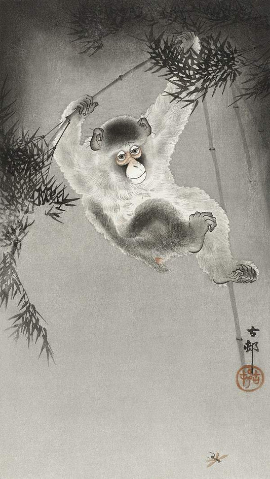 Monkey, hanging from bamboo branch (1900 - 1930) by Ohara Koson