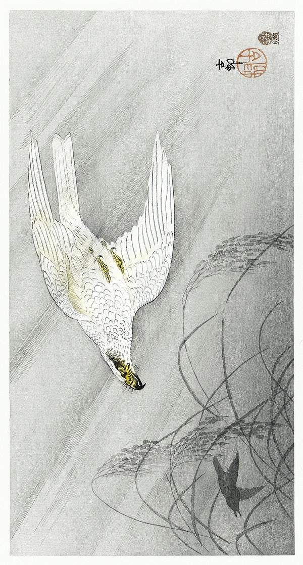 Hunting hawk (1900 - 1910) by Ohara Koson