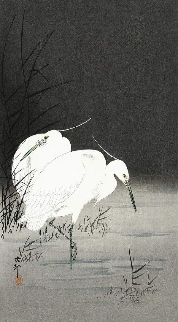 Two egrets in the reeds (1900 - 1930) by Ohara Koson