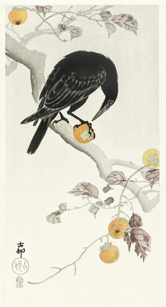 Crow with kaki fruit (1900 - 1910) by Ohara Koson