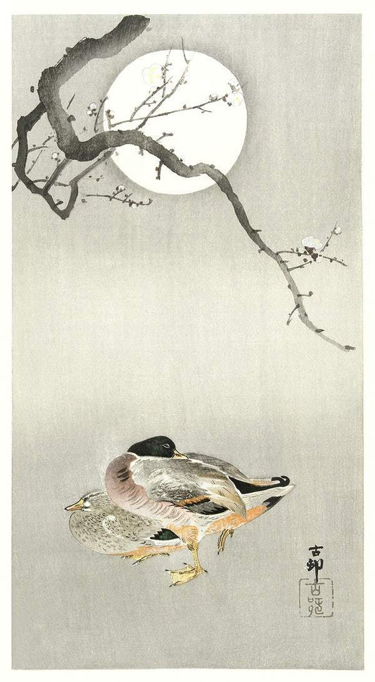 Ducks at full moon (1900 - 1945) by Ohara Koson