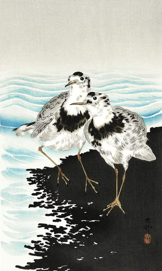 Large coot sandpipers (1900 - 1930) by Ohara Koson