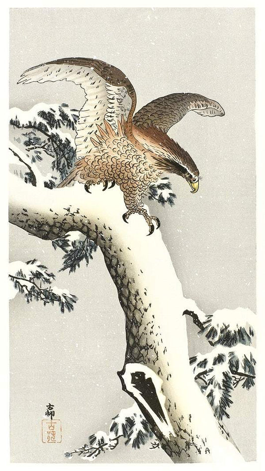 Eagle on a tree branch (1887 - 1930) by Ohara Koson