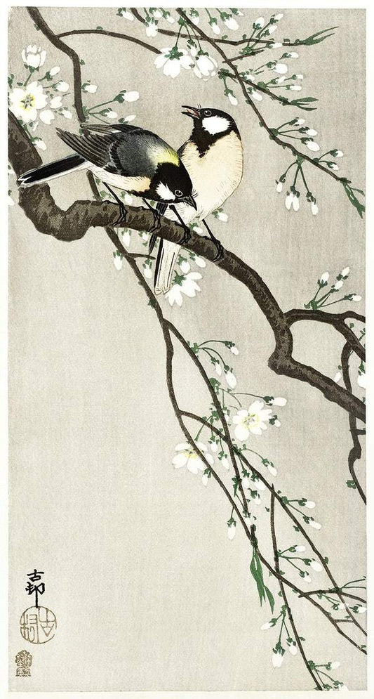 Tits on Cherry Branch (1900 - 1910) by Ohara Koson