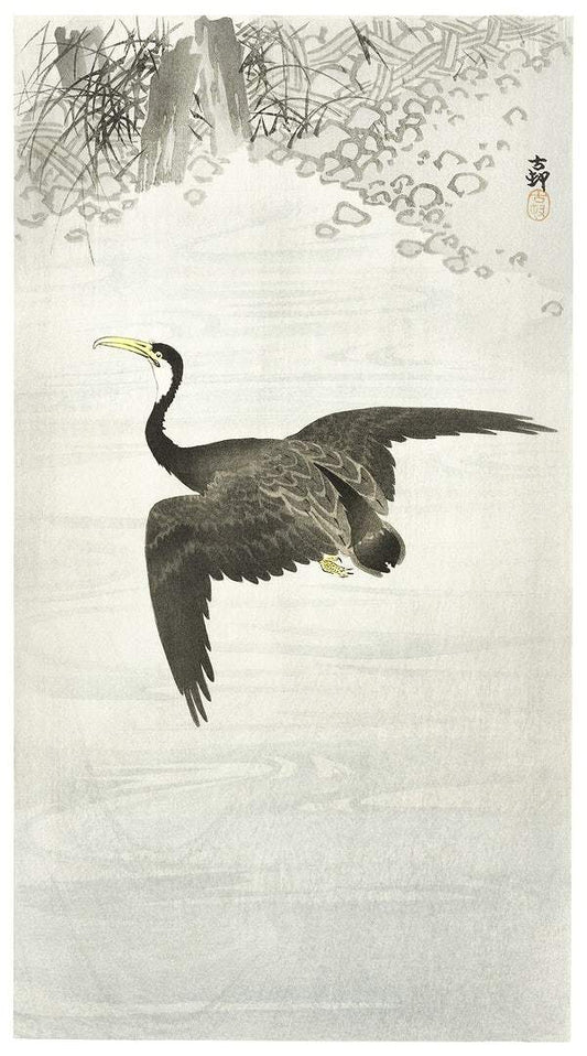 Cormorant in flight (1900 - 1930) by Ohara Koson