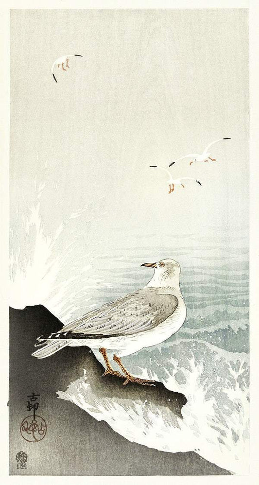 Gull on rock (1900 - 1910) by Ohara Koson