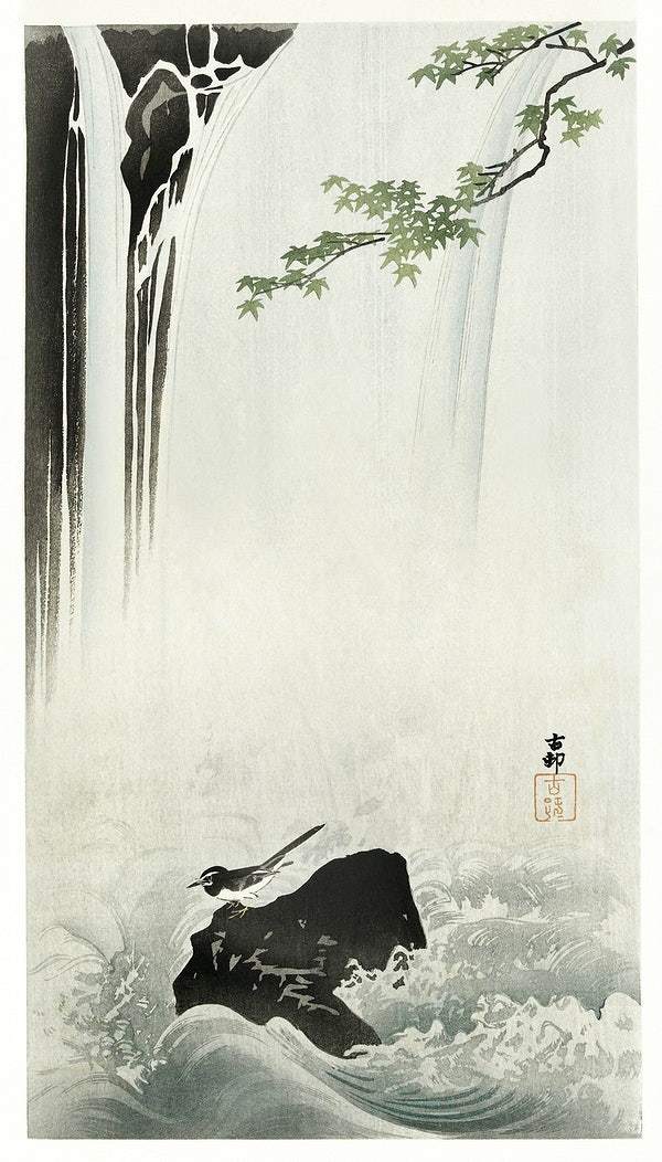 Japanese wagtail at waterfall (1900 - 1930) by Ohara Koson