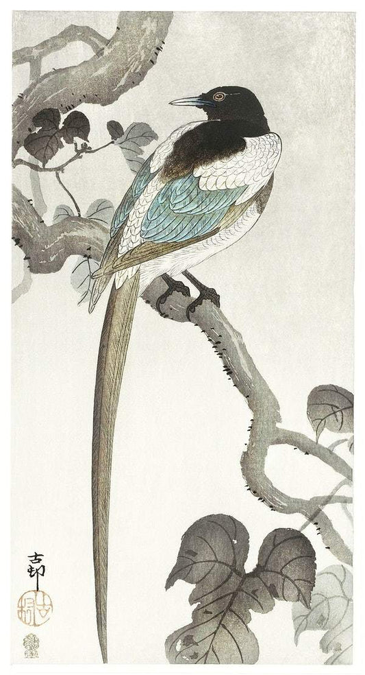 Great tits on maple branch (1900 - 1936) by Ohara Koson