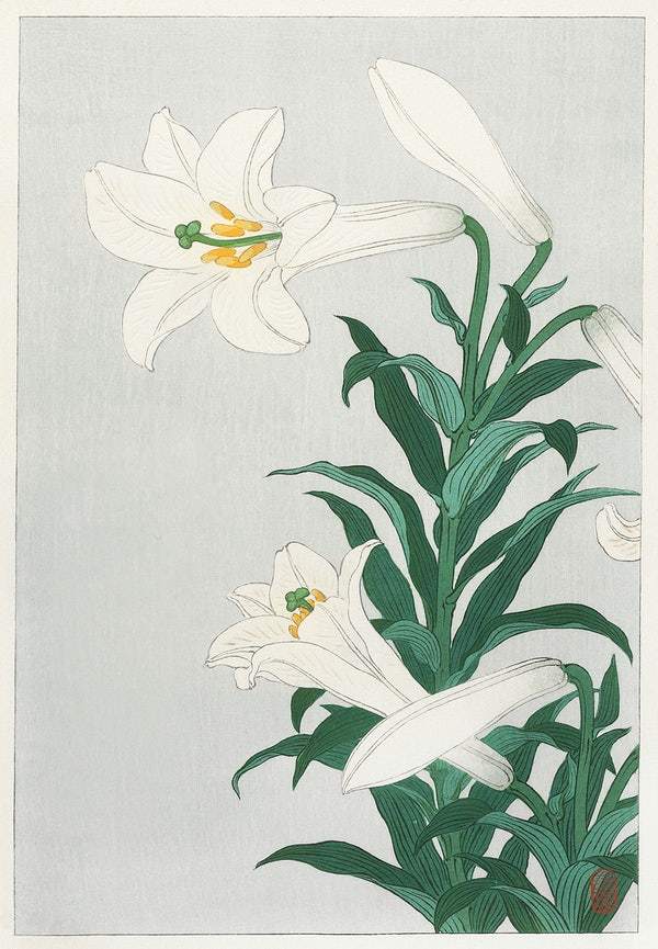 Lilies, Ohara ( 1920 - 1930) by Ohara Koson