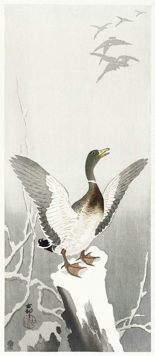 Duck on snowy tree stump (1900 - 1910) by Ohara Koson