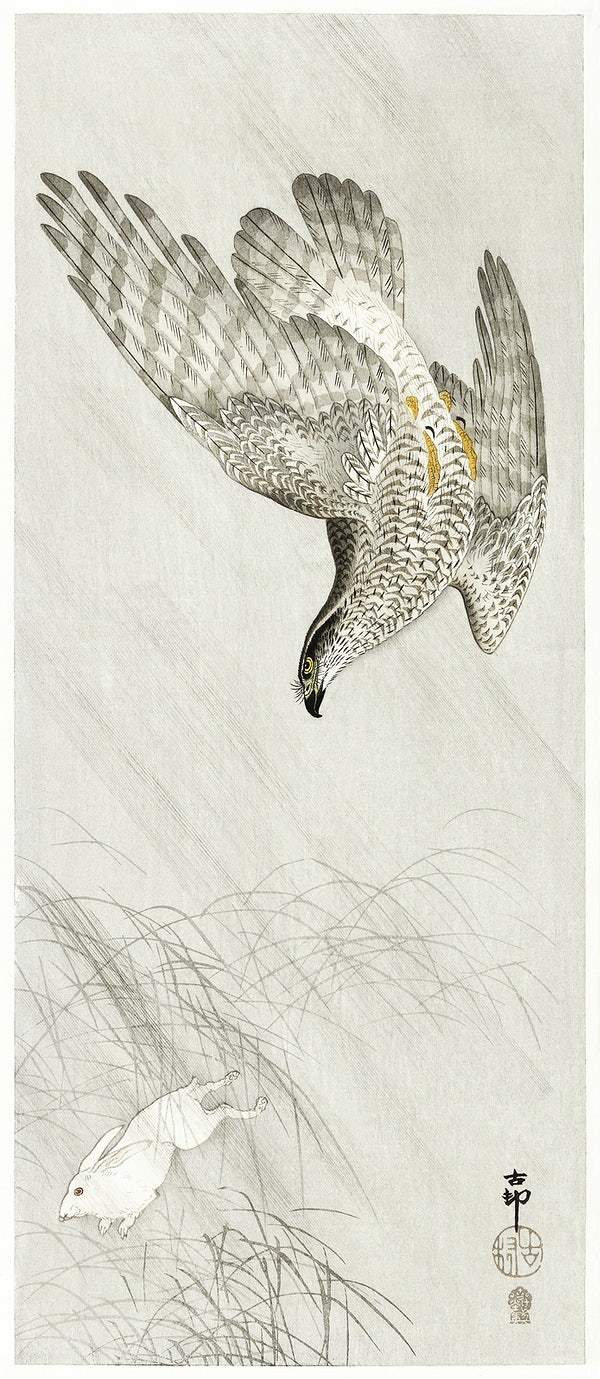 Hawk hunting a hare (1900 - 1910) by Ohara Koson