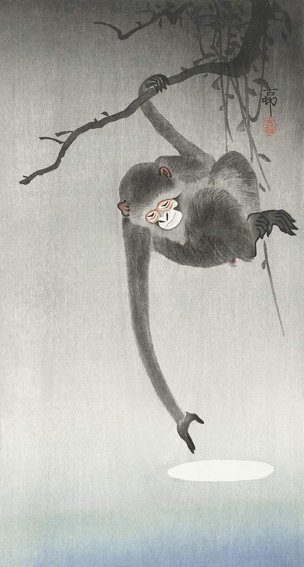 Monkey and reflection of the moon (1900 - 1936) by Ohara Koson