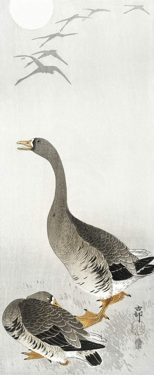 Two geese (1900 - 1910) by Ohara Koson