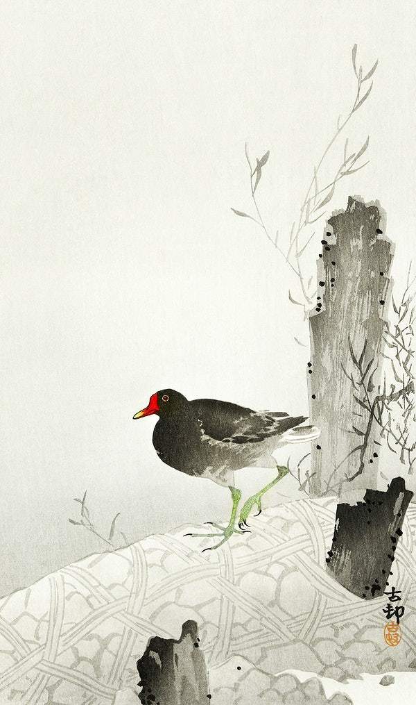 Moorhen (1900 - 1936) by Ohara Koson