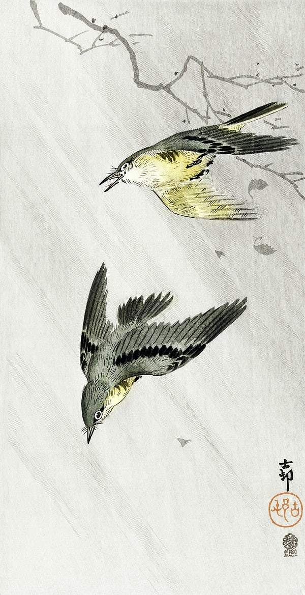 Songbirds in rain (1900 - 1910) by Ohara Koson