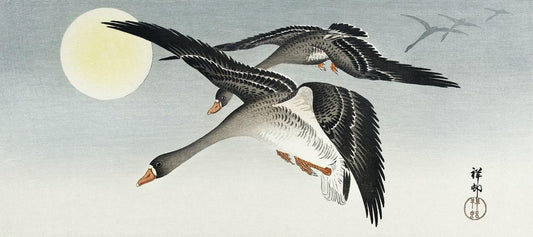 Birds at full moon (1900 - 1936) by Ohara Koson