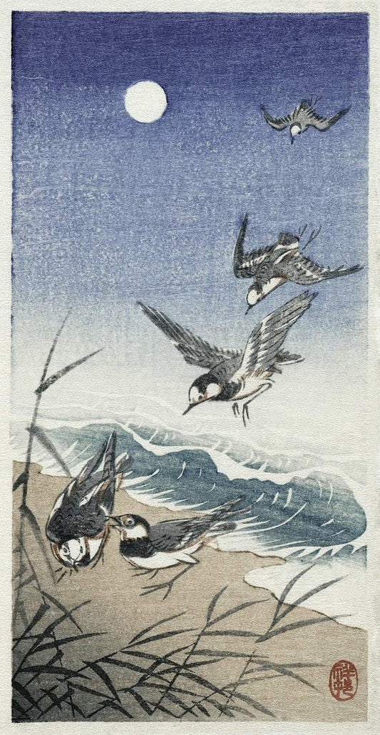 Birds at full moon (1900 - 1936) by Ohara Koson