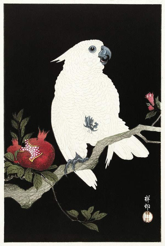 Cockatoo and pomegranate (1925 - 1936) by Ohara Koson