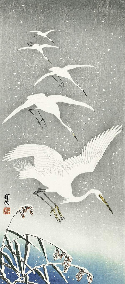 Descending egrets in snow (1925 - 1936) by Ohara Koson