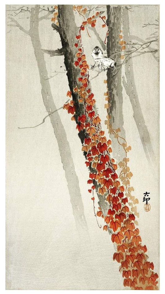 Red ivy (1900 - 1930) by Ohara Koson