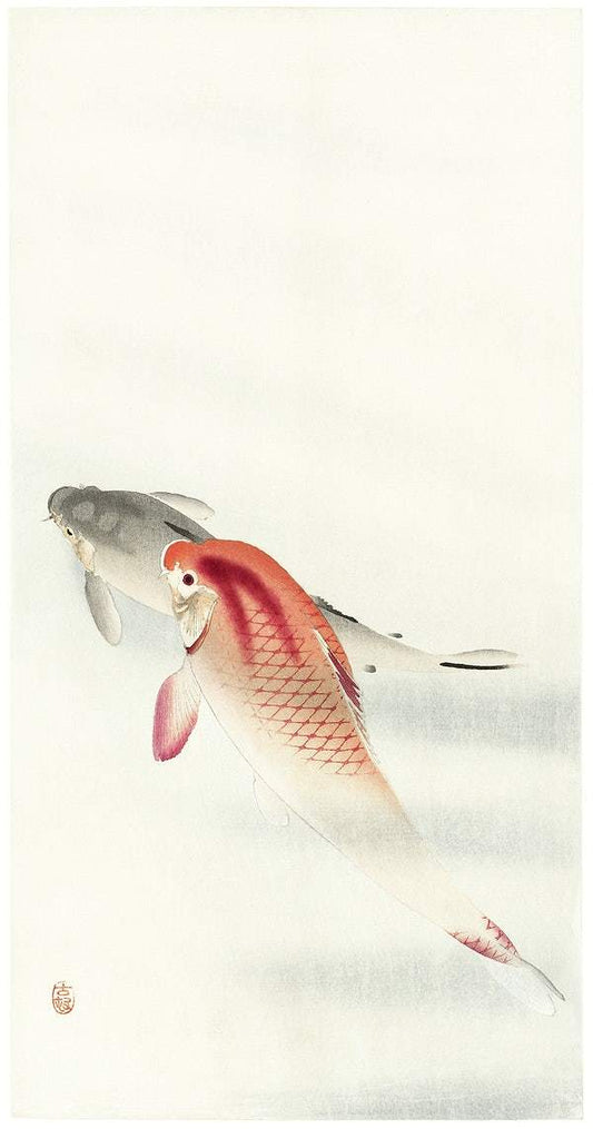 Two carp (1900 - 1930) by Ohara Koson