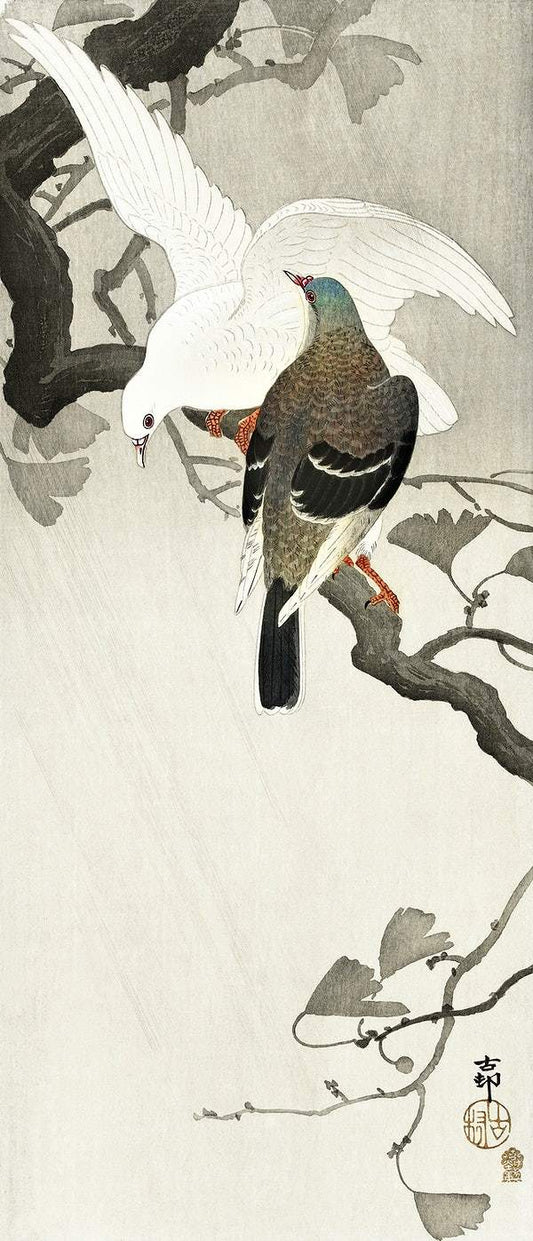 Two pigeons on a branch (1900 - 1910) by Ohara Koson