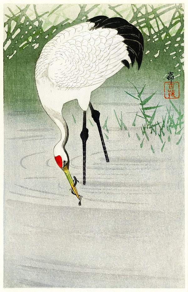 Fishing crane in shallow water (1900 - 1945) by Ohara Koson