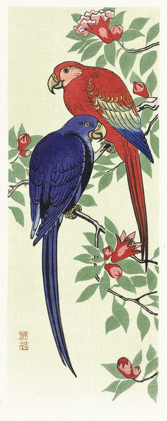 Red and a blue parrot (1925 - 1936) by Ohara Koson