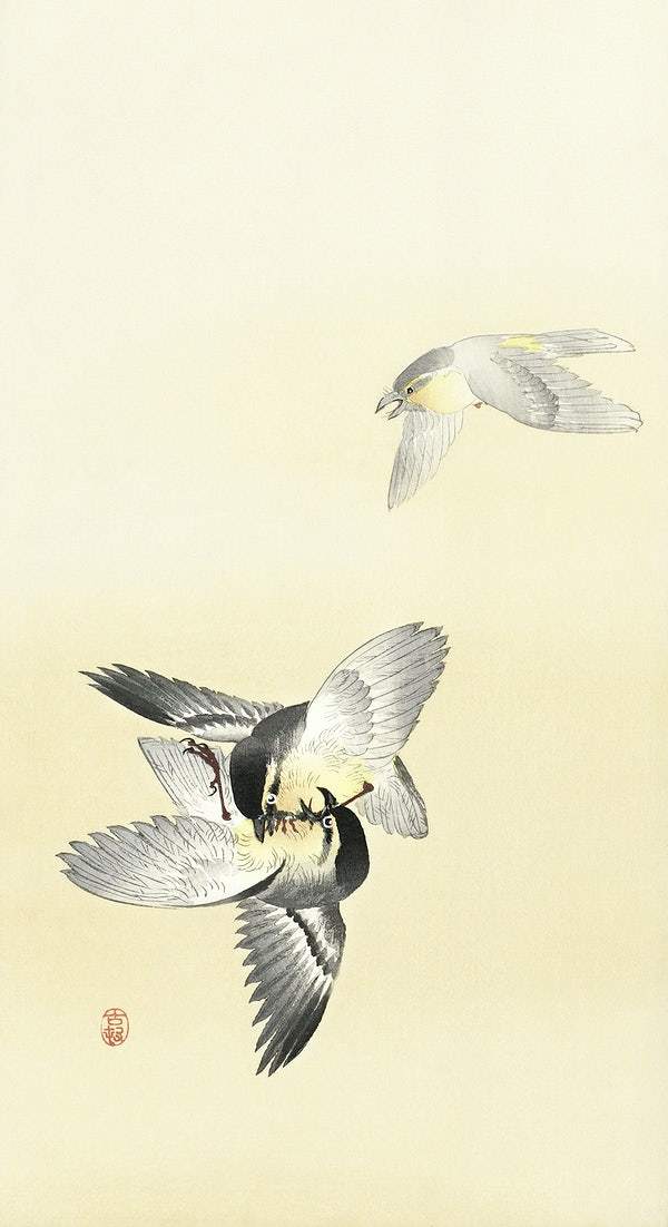 Two fighting birds (1900 - 1936) by Ohara Koson