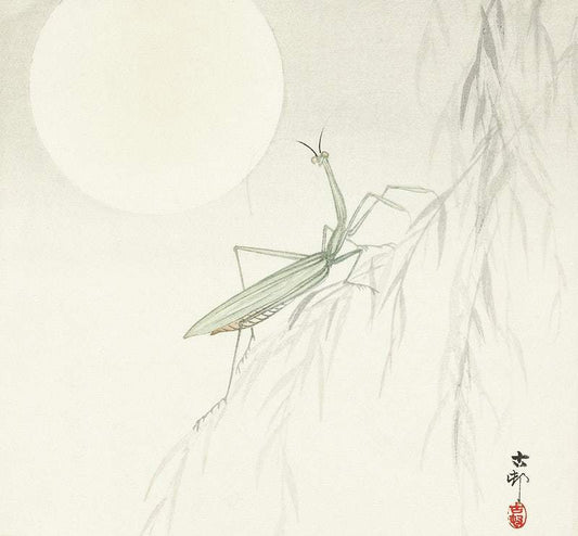 Praying mantis (1900 - 1936) by Ohara Koson