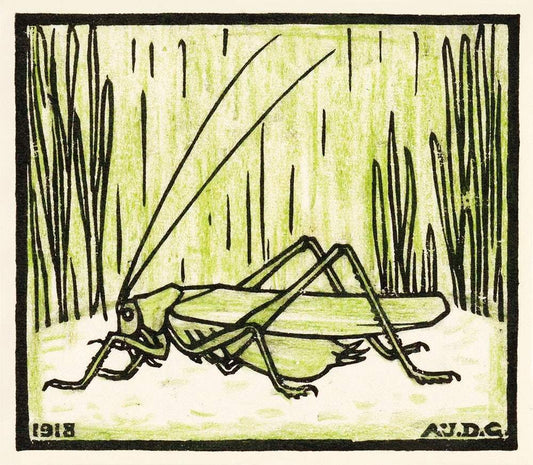 Grasshopper (1918) by Julie de Graag