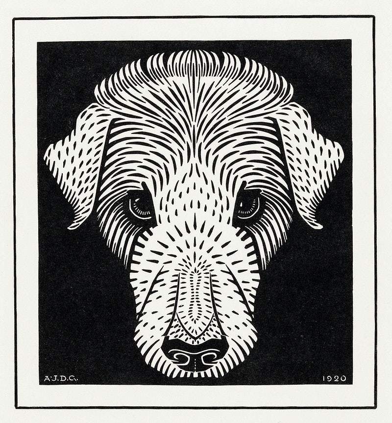 Dog's head (1920) by Julie de Graag