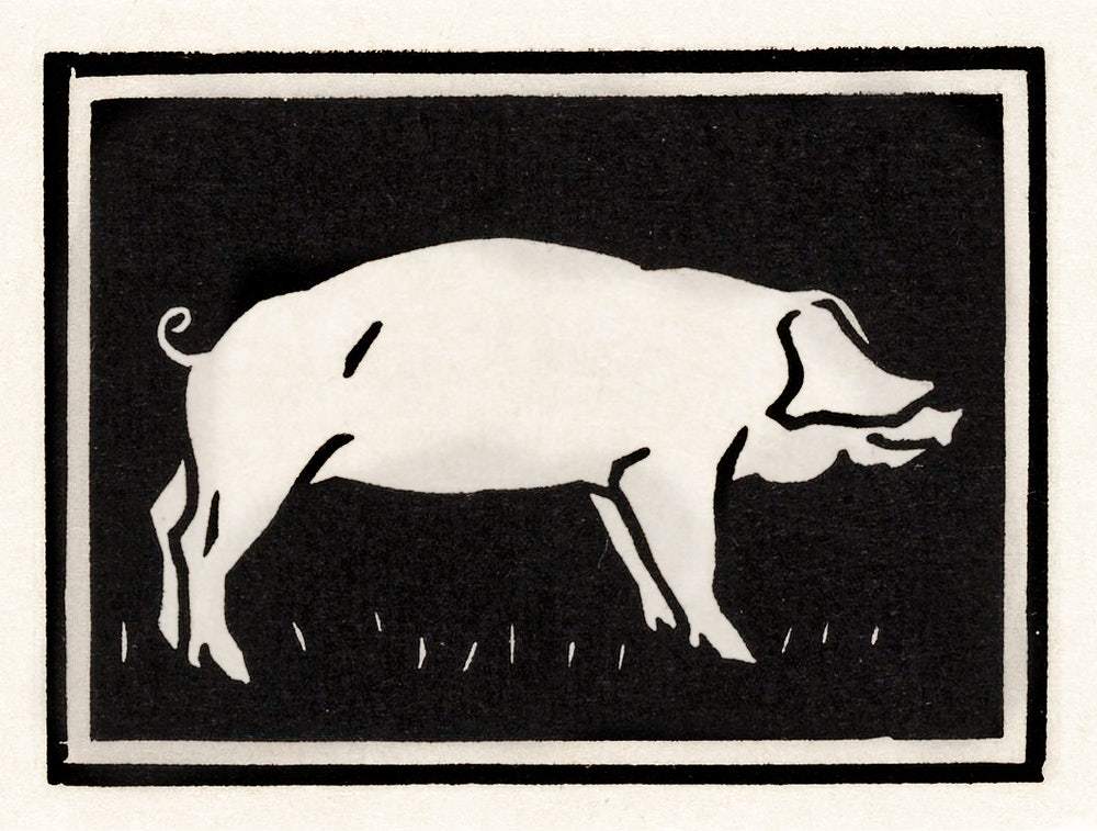 Pig (1923) by Julie de Graag