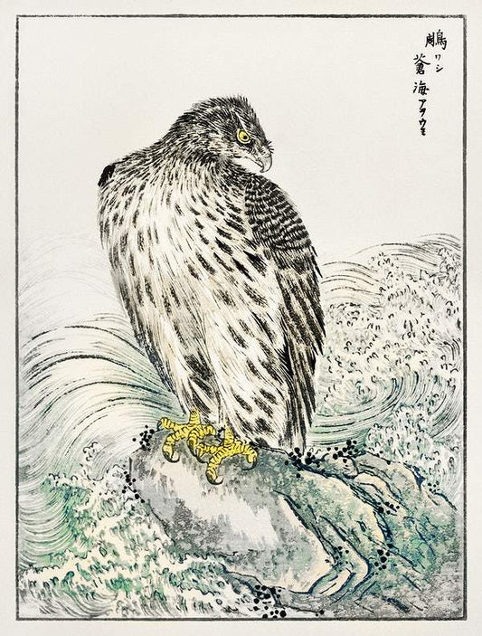 Japanese Golden Eagle (1885) by Numata Kashu