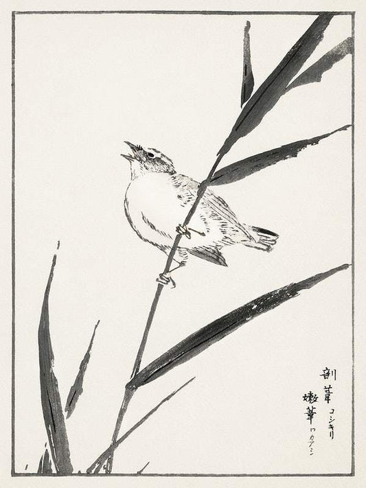 Reed-Bunting (1885) by Numata Kashu