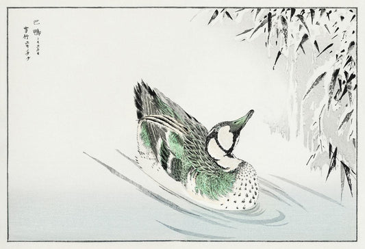 Spectacled Teal and Snow-bent Bamboo by Numata Kashui