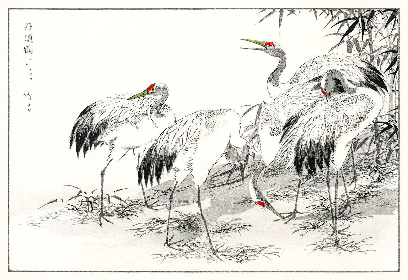 Japanese Crane and Bamboo illustration from Pictorial Monograph of Birds (1885) by Numata Kashu