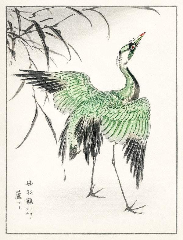 Eastern Grey Heron (1885) by Numata Kashu