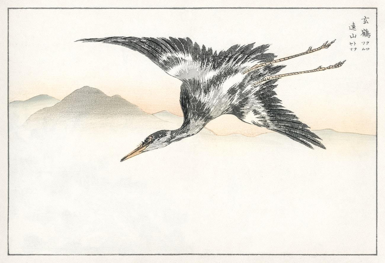 Eastern Common Crane illustration from Pictorial Monograph of Birds (1885) by Numata Kashu