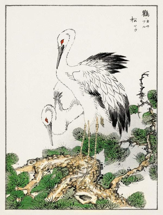 Japanese Storks (1885) by Numata Kashu