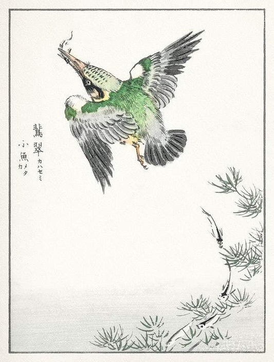 Japanese Quail (1885) by Numata Kashu