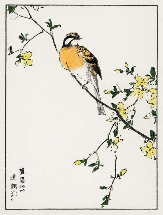 Japanese Meadow Bunting (1885) by Numata Kashu