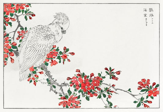 Parrot and Pyrus spectabilis (1885) by Numata Kashu