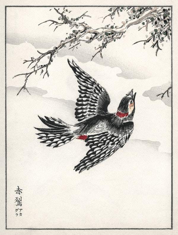 Hondo Great Spotted Woodpecker (1885) by Numata Kashu